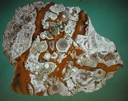 دانلود و دریافت تحقیق زمین شناسی – سنگ های آذرین